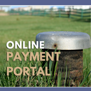 Online Payment Portal